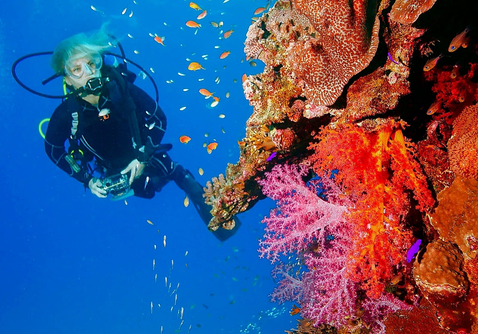 Kasım 2024 Mısır Turumuz